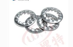 內鋸齒鎖緊墊圈